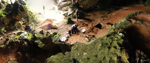 Tangkorak fouilles
